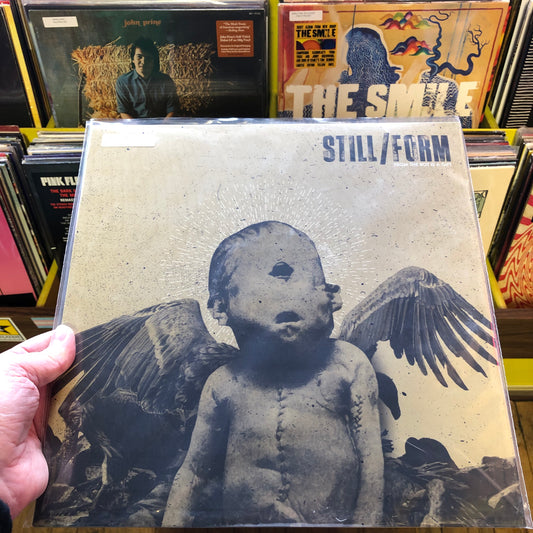 Still/Form - From the Rot is a Gift