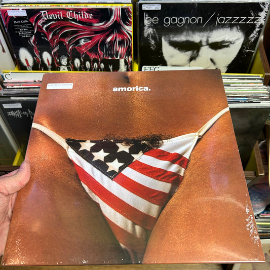 Black Crowes - Amorica