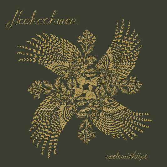 Nechochwen - spelewithiipi (Nordvis 2025)