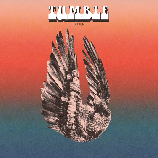 Tumble - Lost In Light (Echodelick / Stickman 2025)