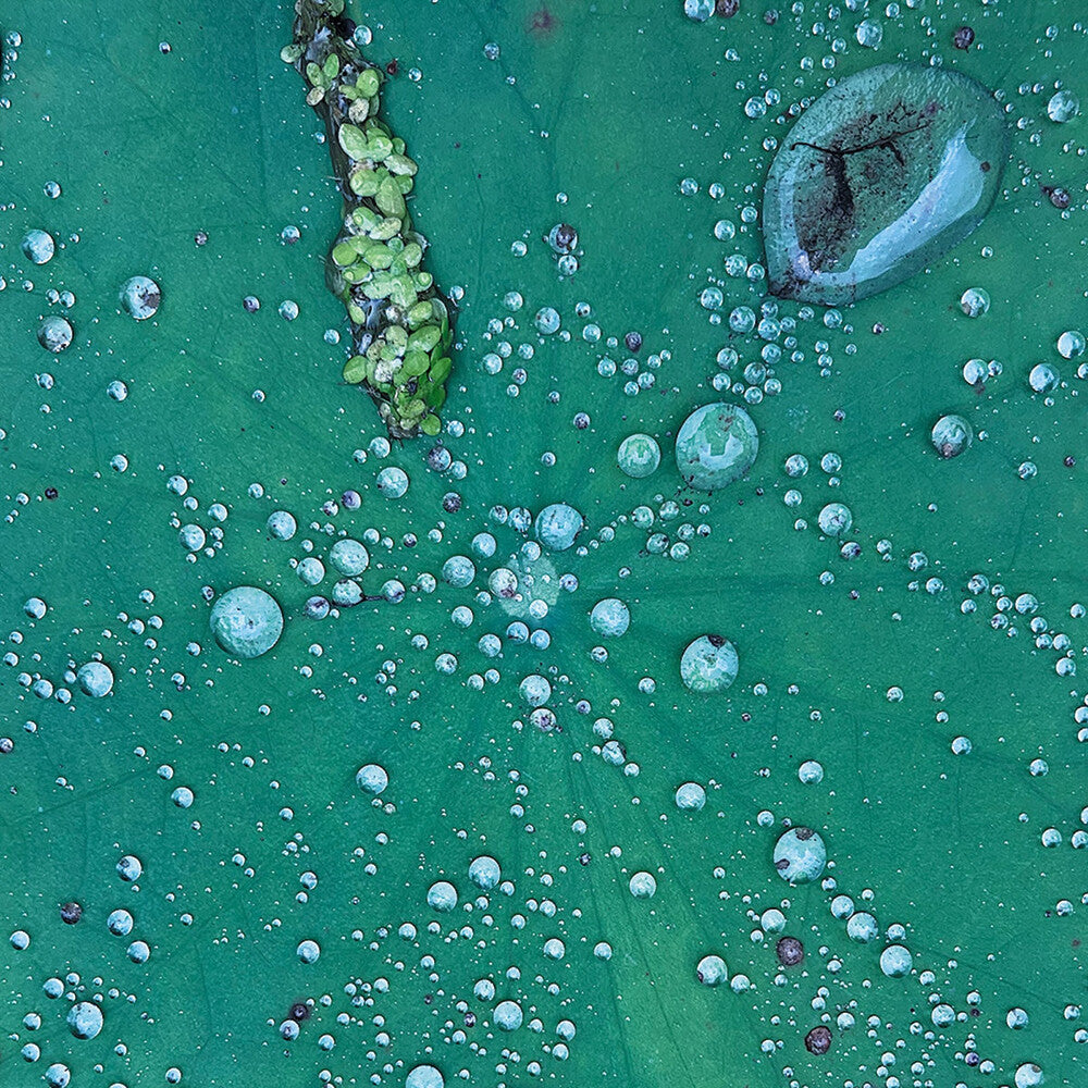 the album cover for Peter Chilvers - Dust 1 (10in)