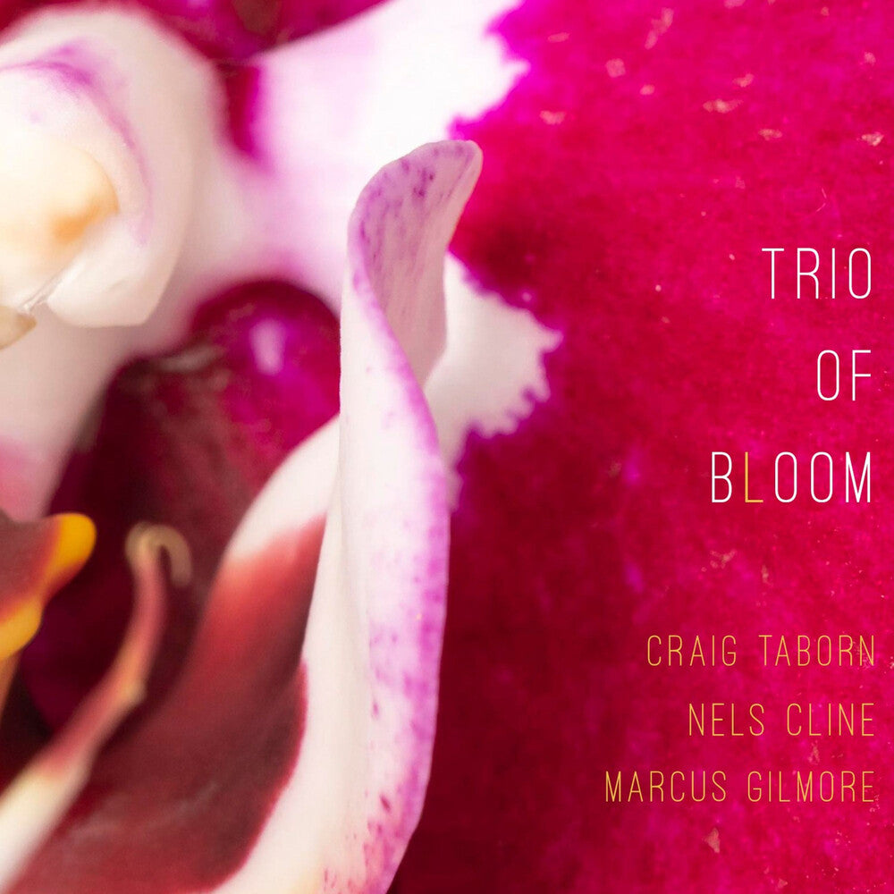the album cover for Trio Of Bloom - Trio Of Bloom