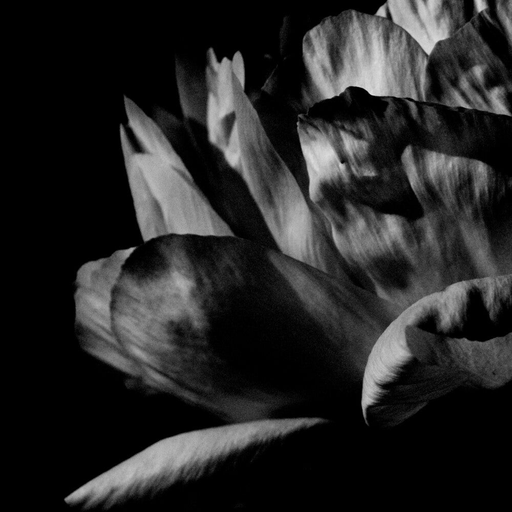 the album cover for Louise Roam - La Ou Passe La Nuit