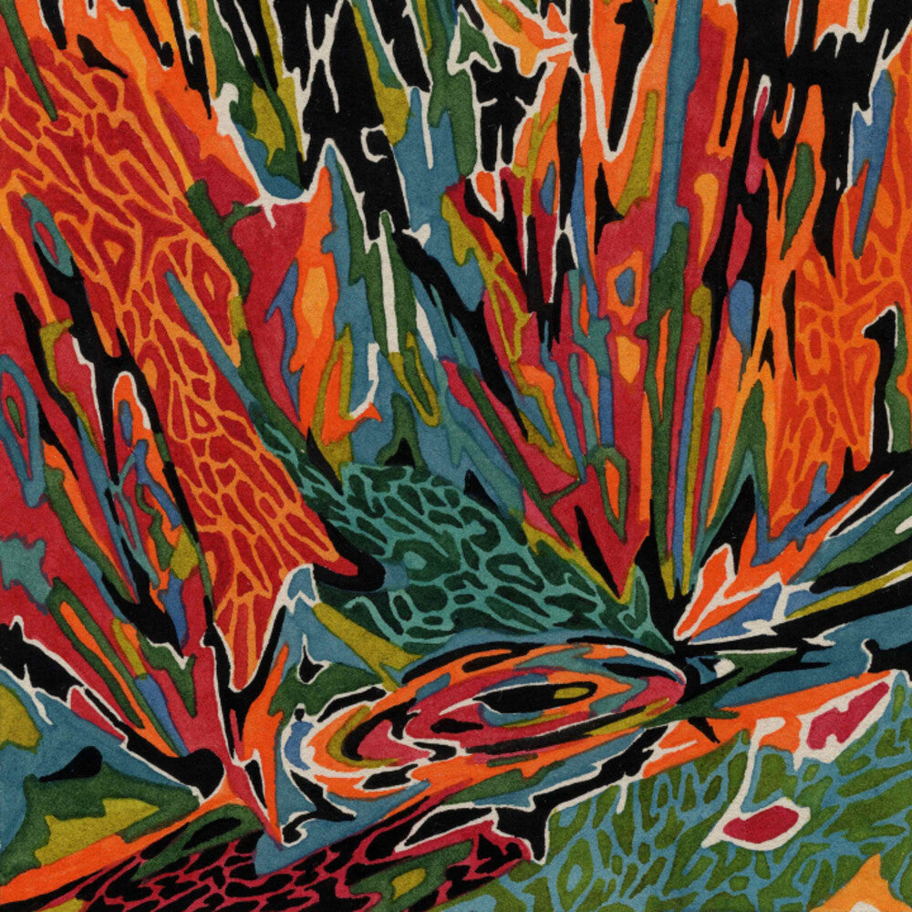 the album cover for Akusmi - Terra Incognita