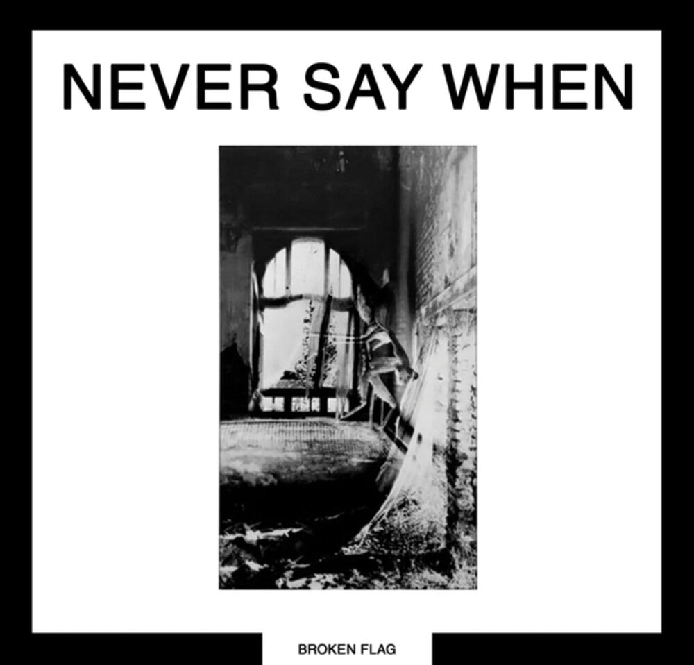 the album cover for Various Artists - Never Say When (2lp)