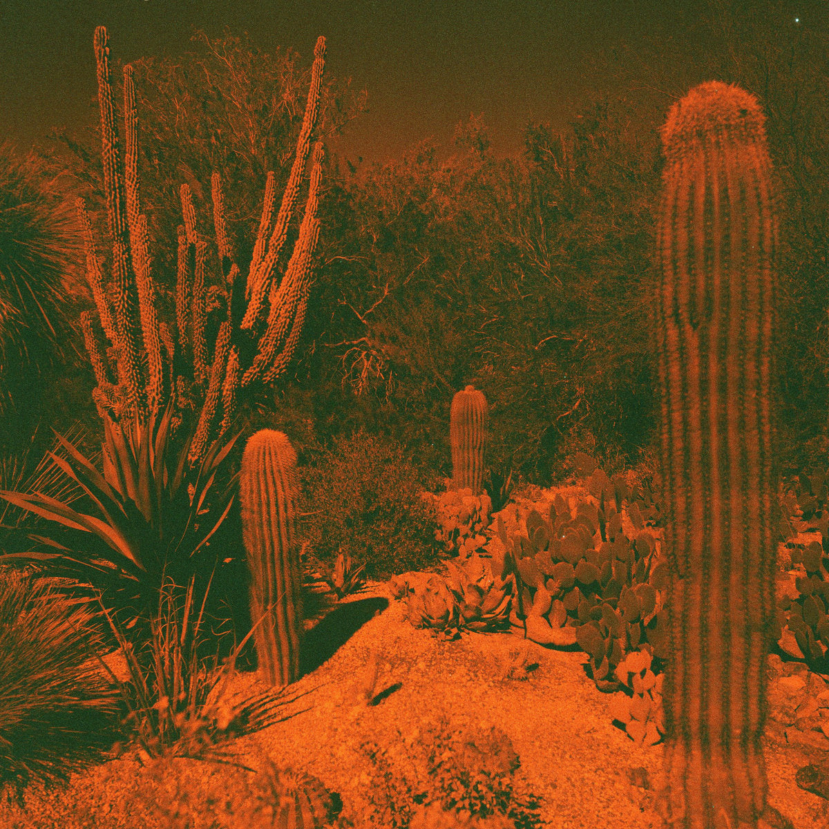 Cameron Knowler & Eli Winter - Anticipation LP
