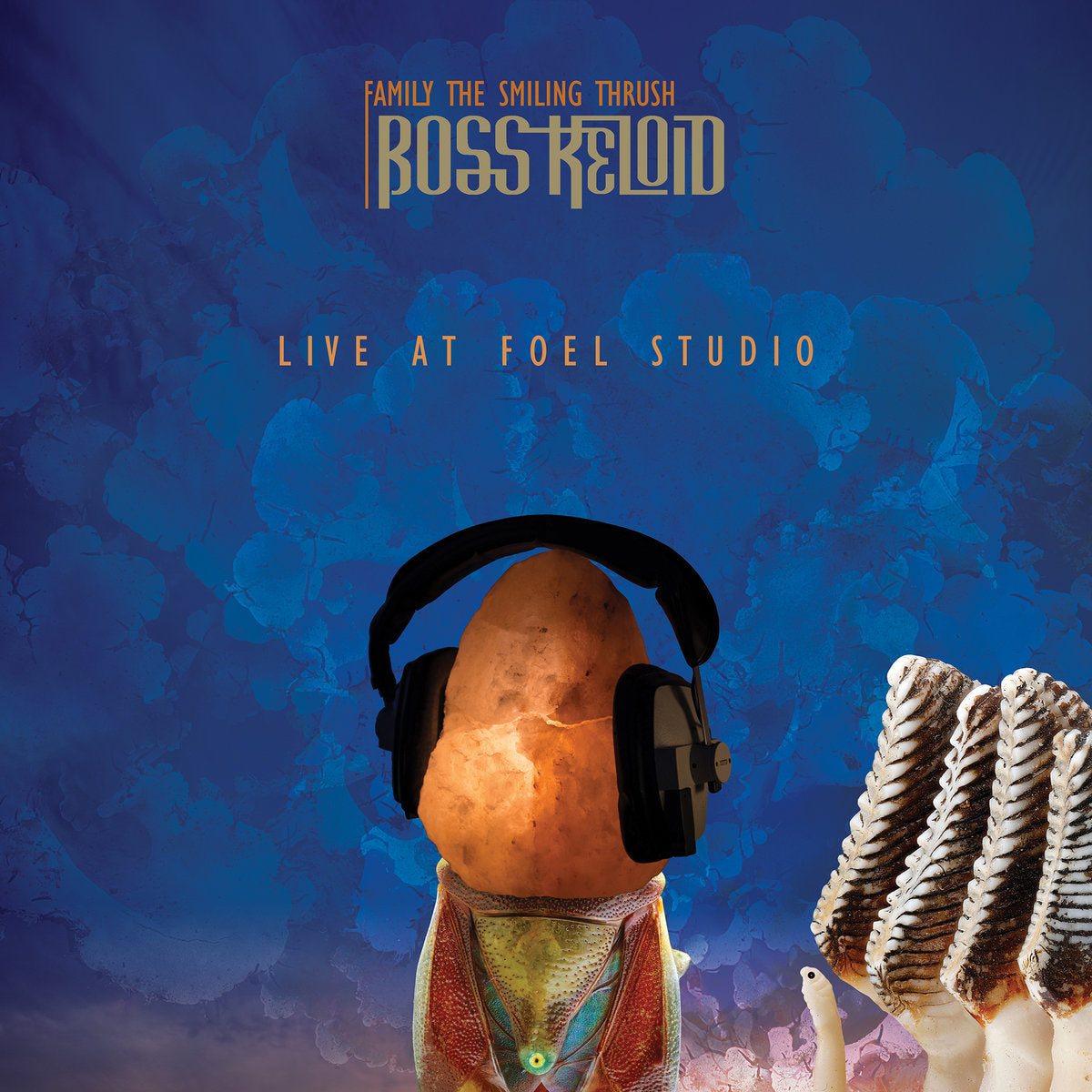 Boss Keloid - FAMILY THE SMILING THRUSH LP