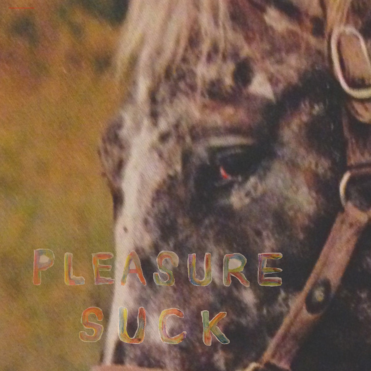 Spirit Of The Beehive - PLEASURE SUCK (TRANSPARENT ORANGE VINYL) LP