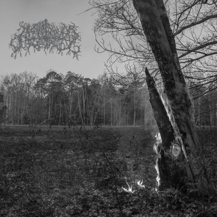 Argentinum Astrum - Malleus Maleficarum LP