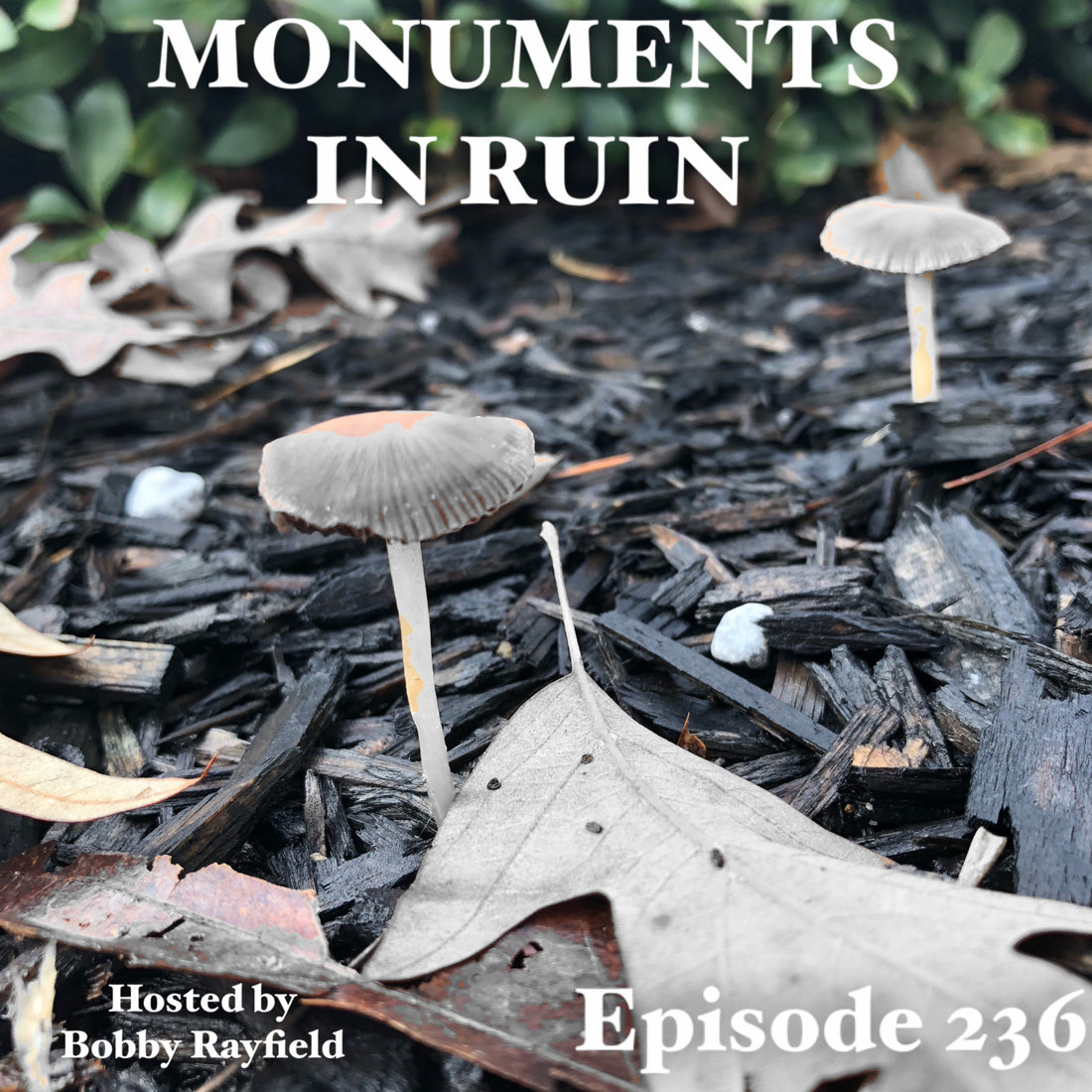 Monuments in Ruin – Episode 236 (music podcast)