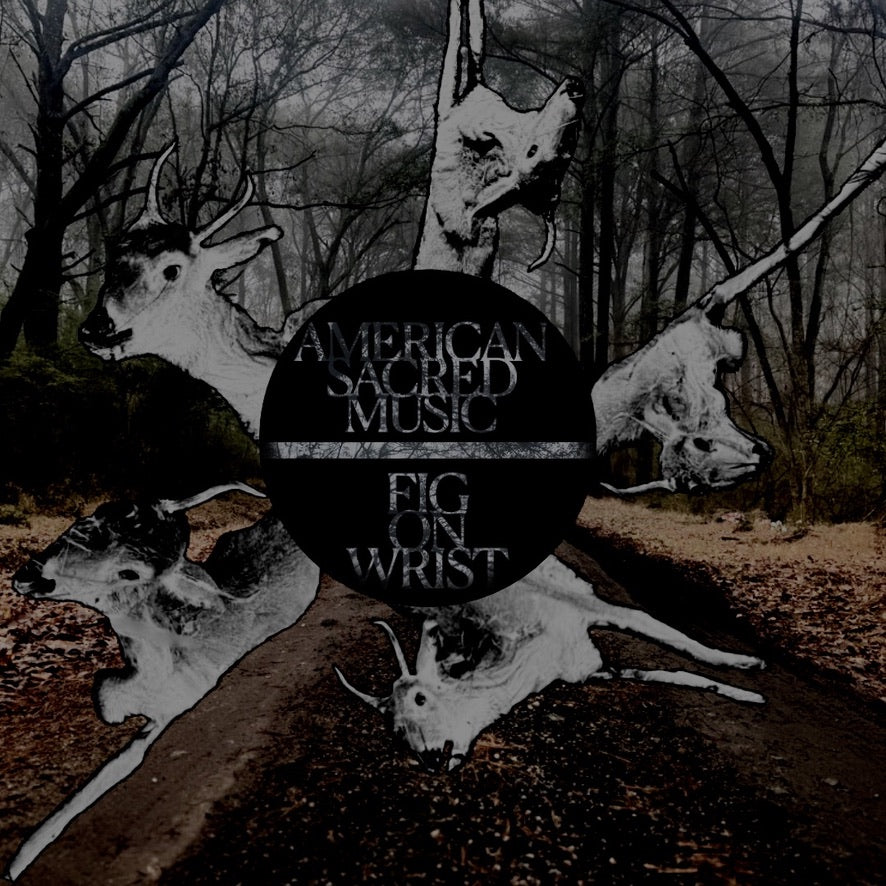 American Sacred Music - Fig on Wrist (Short Film) | video premiere
