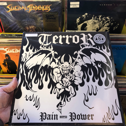 Terror - Pain Into Power