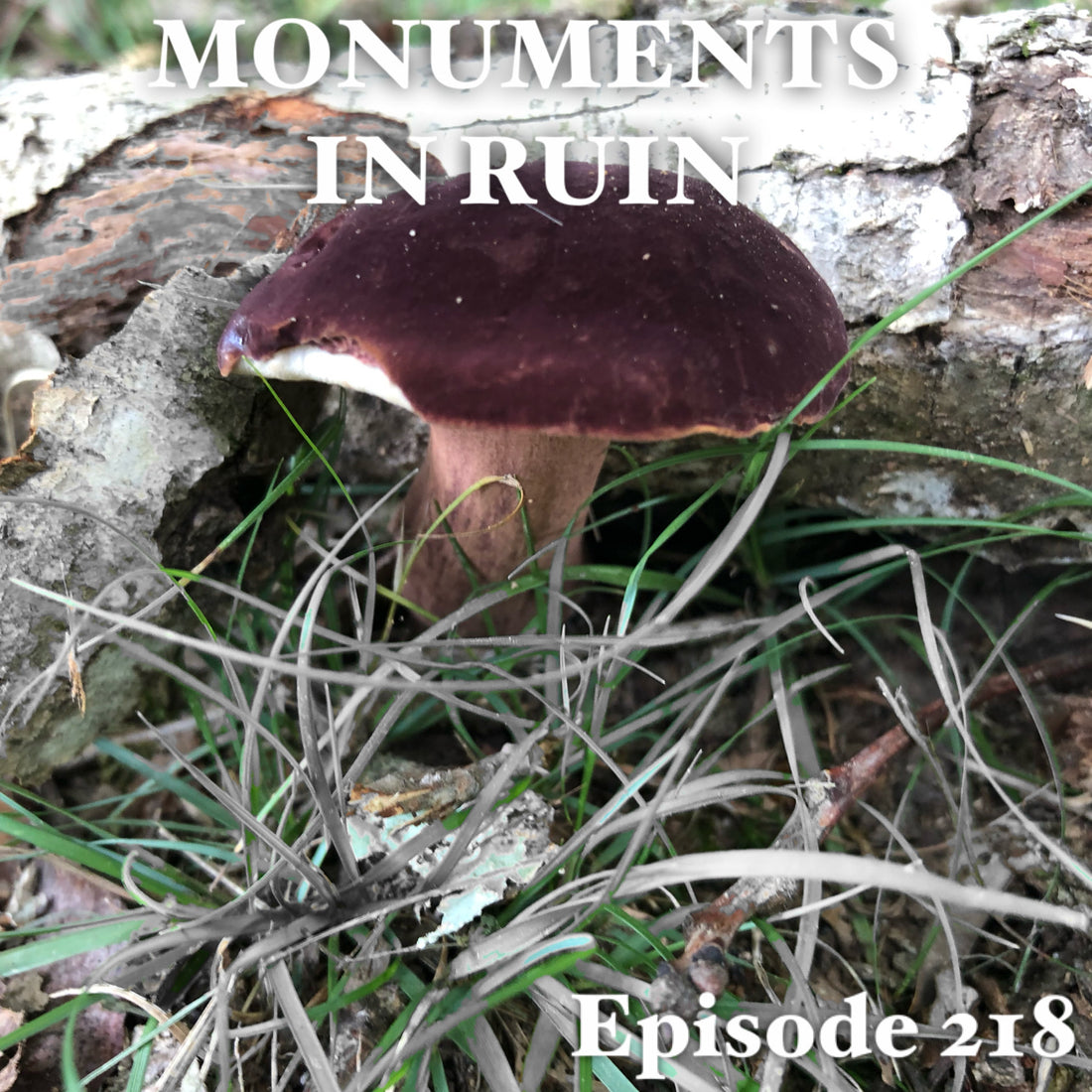 Monuments in Ruin - Episode218 (music podcast)