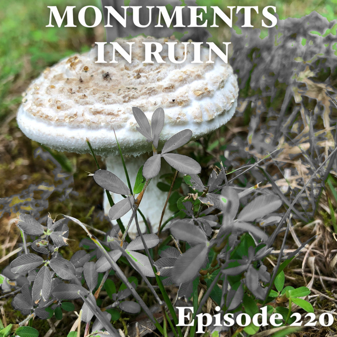 Monuments in Ruin - Episode220 (music podcast)