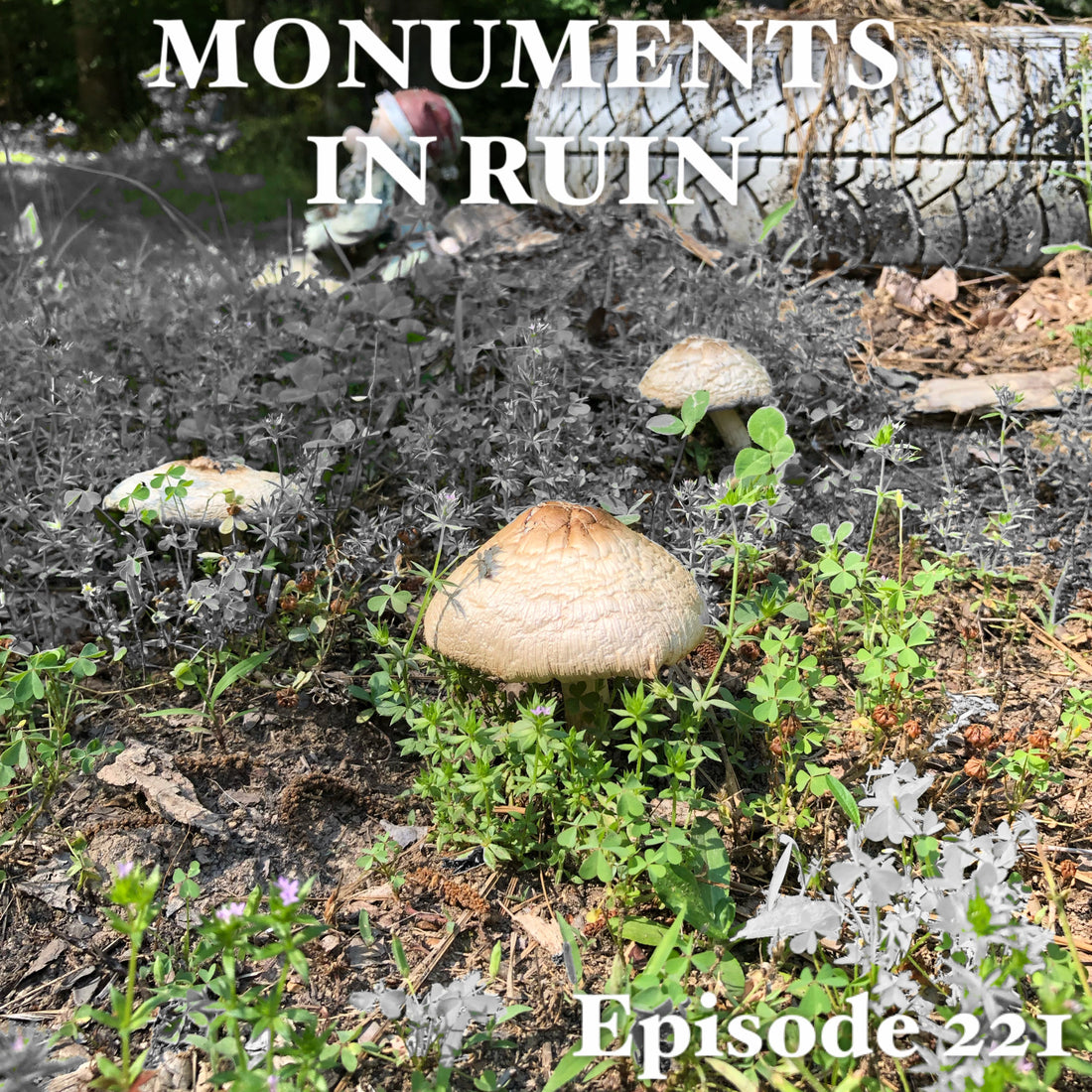 Monuments in Ruin - Episode221 (music podcast)