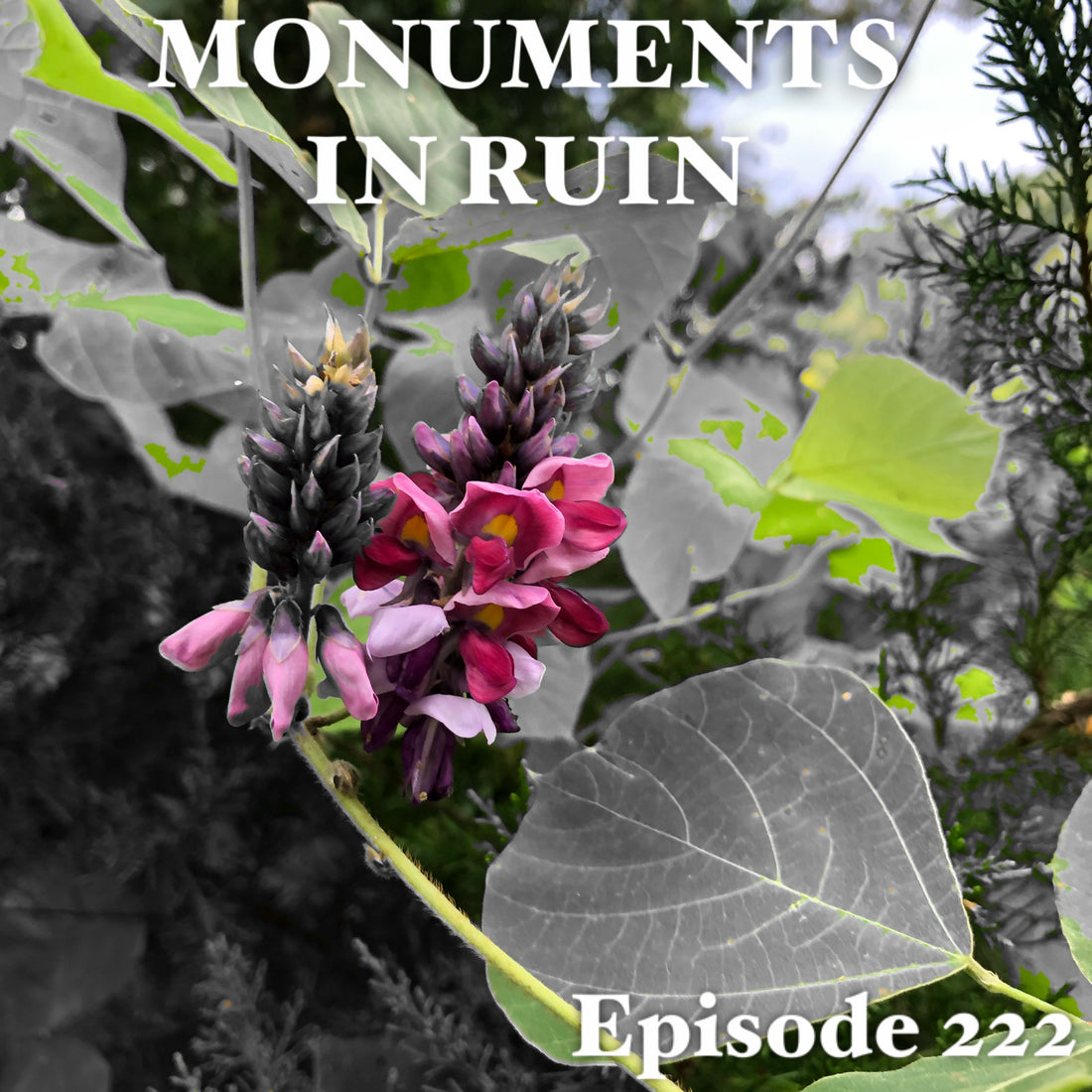 Monuments in Ruin - Episode222 (music podcast)