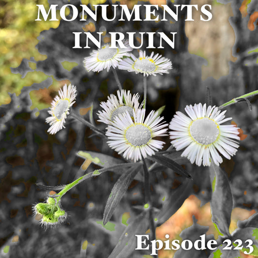 Monuments in Ruin - Episode223 (music podcast)