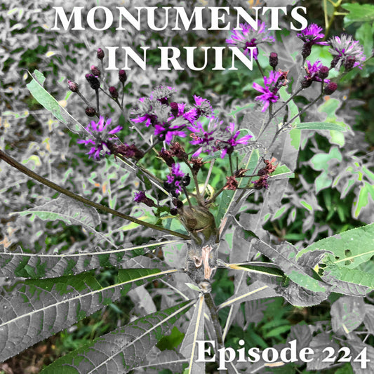 Monuments in Ruin - Episode224 (music podcast)