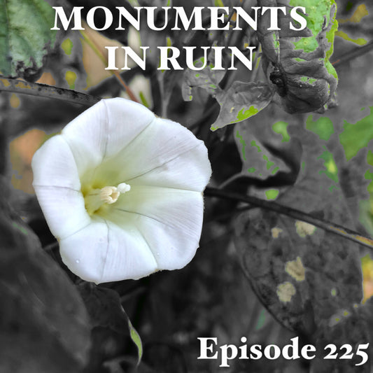 Monuments in Ruin - Episode225 (music podcast)