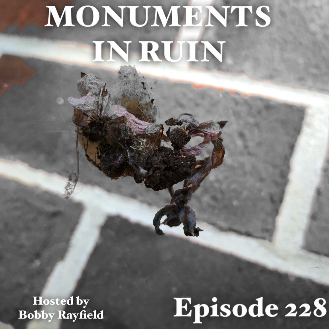 Monuments in Ruin - Episode228 (music podcast)