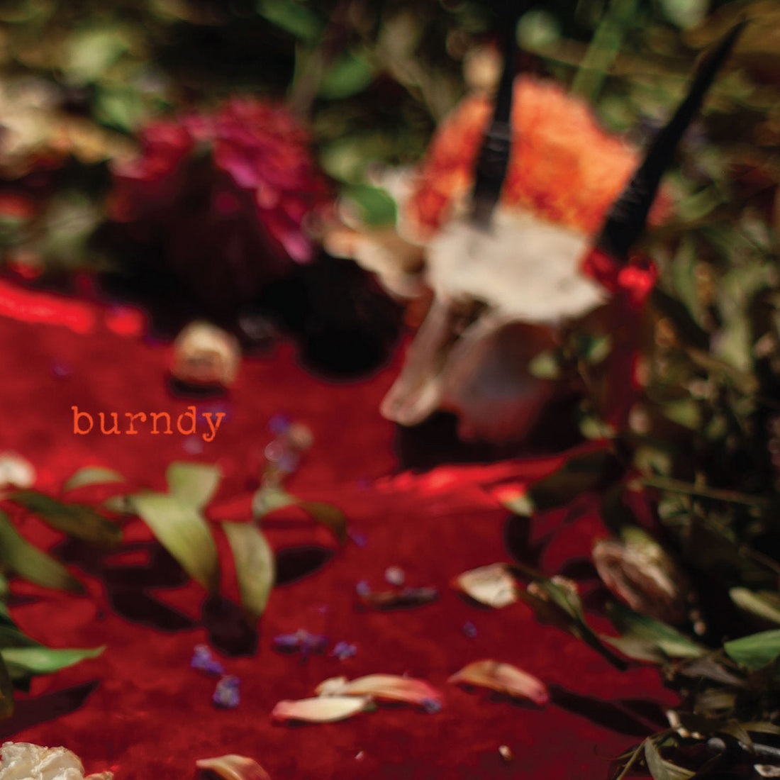 BURNDY - Self Titled (Independent 2025)