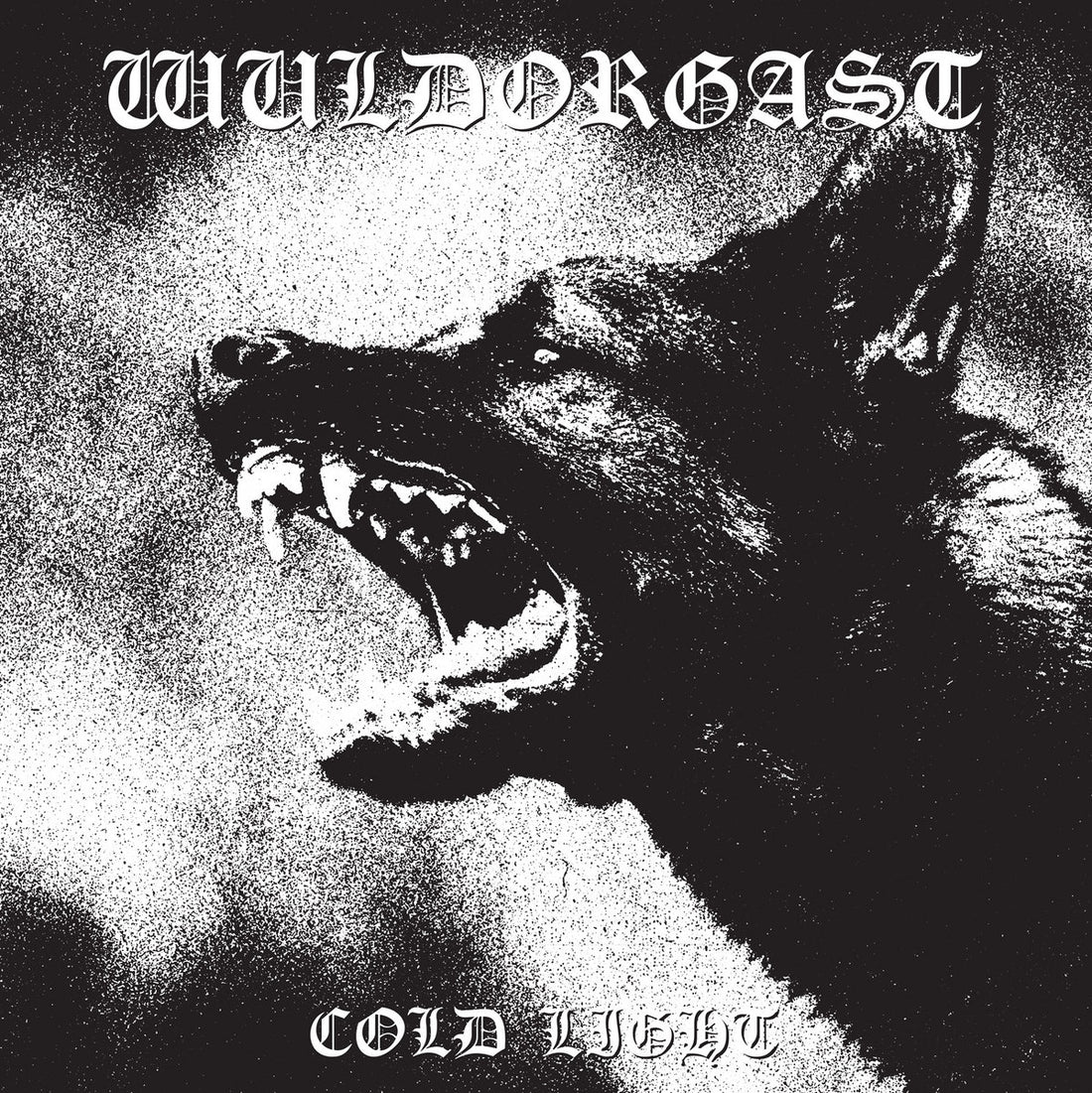 Wuldorgast - Cold Light (Iron Bonehead 2024)