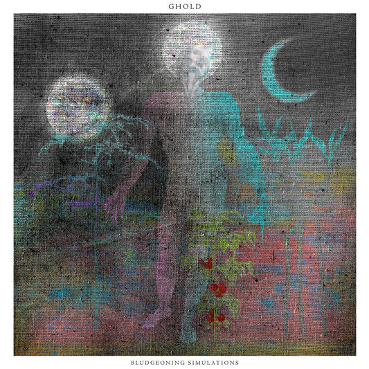 GHOLD - BLUDGEONING SIMULATIONS (HUMAN WORTH 2025)