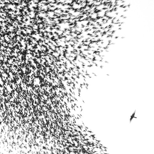 the album cover for Wilco - Sky Blue Sky