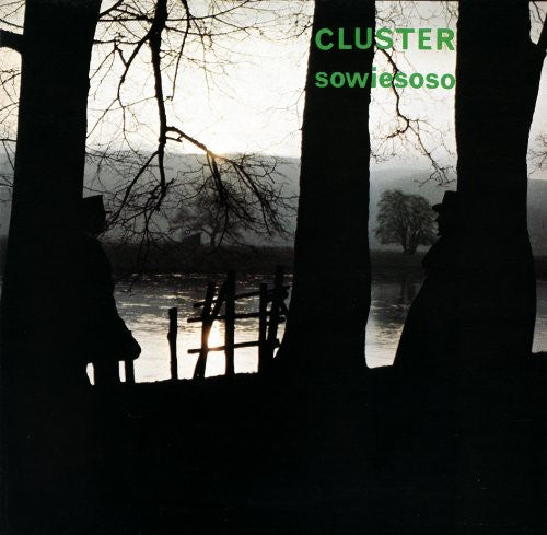 the album cover for Cluster - Sowiesoso [Reissue]