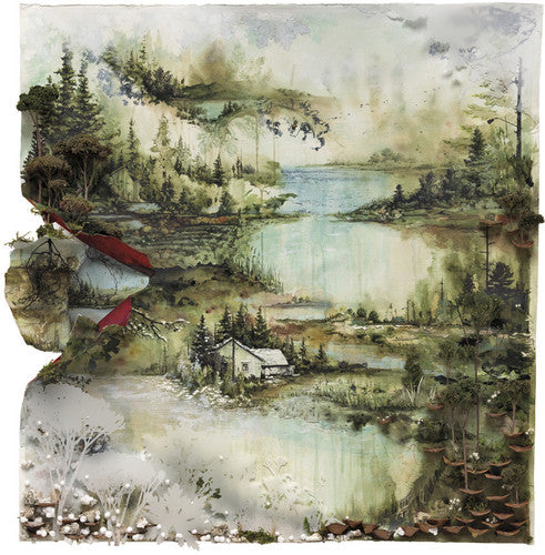 the album cover for Bon Iver - Bon Iver [Vinyl]