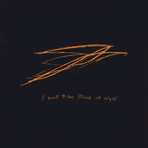 the album cover for Andrew Bird - I Want To See Pulaski At Night