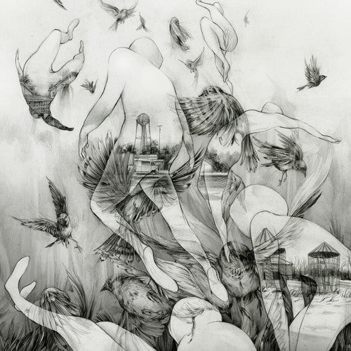 the album cover for Mono - The Last Dawn [Vinyl]