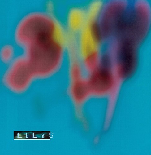 the album cover for Lilys - Eccsame the Photon Band