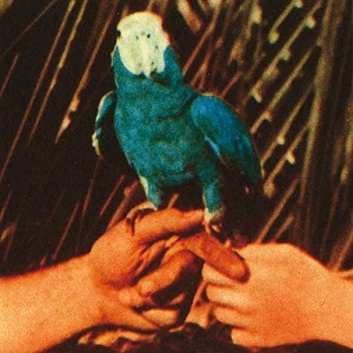 the album cover for Andrew Bird - Are You Serious [Vinyl]