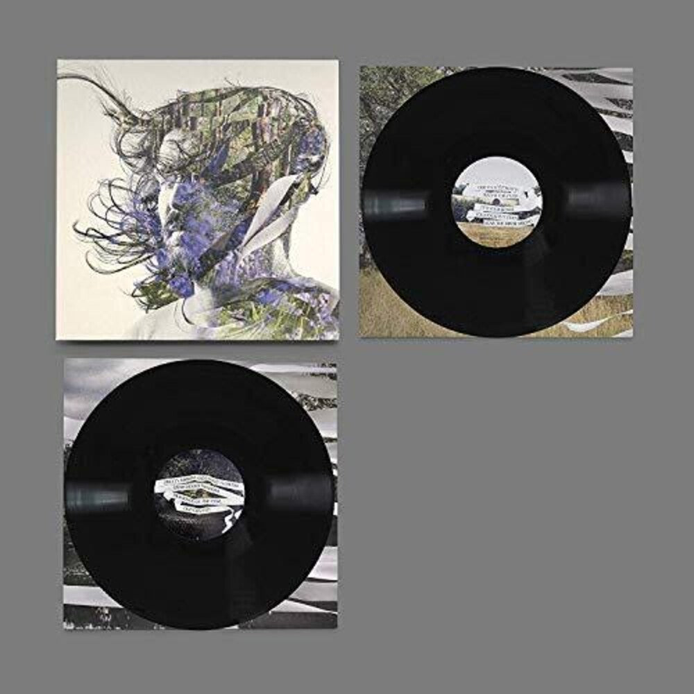 the album cover for Bibio - Ribbons [LP]