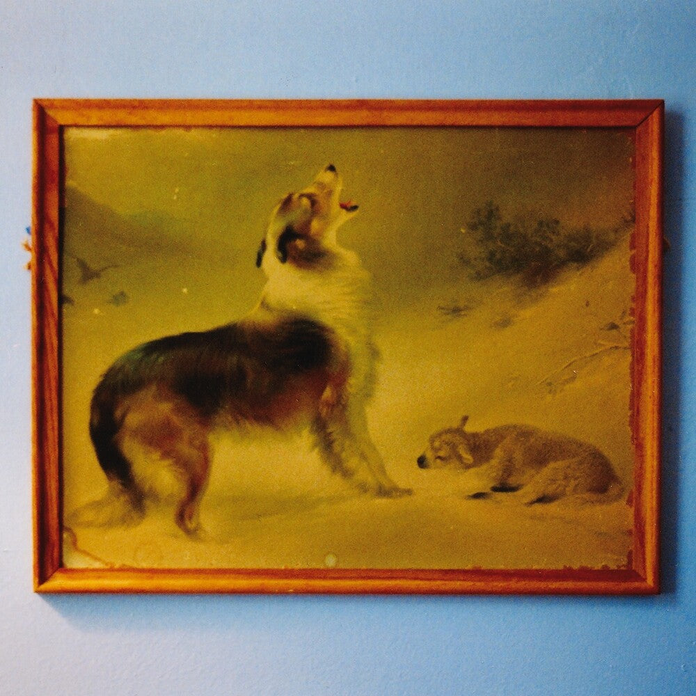 the album cover for Explosions In The Sky - 'The Rescue (Anniversary Edition)'