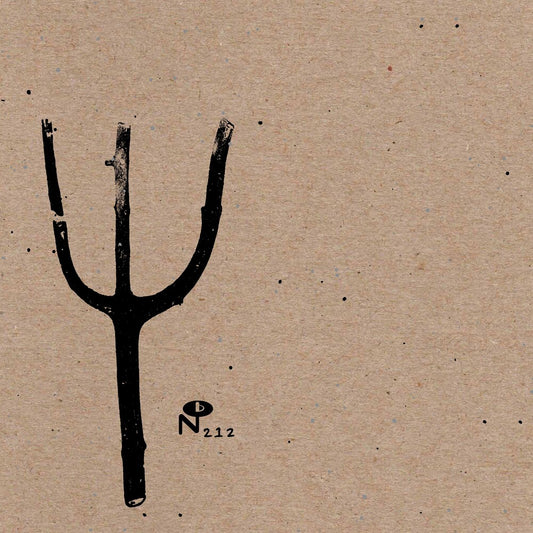 the album cover for Indian Summer - Giving Birth to Thunder