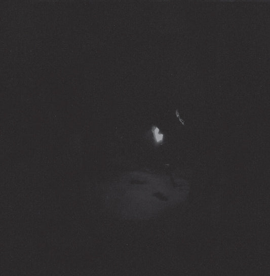 the album cover for Paysage D'hiver - Nacht (Blk) (Gate) [180 Gram]