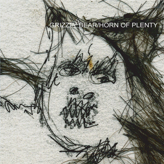 the album cover for Grizzly Bear - Horn Of Plenty (Reissue) (Color Vinyl) [Clear Vinyl]