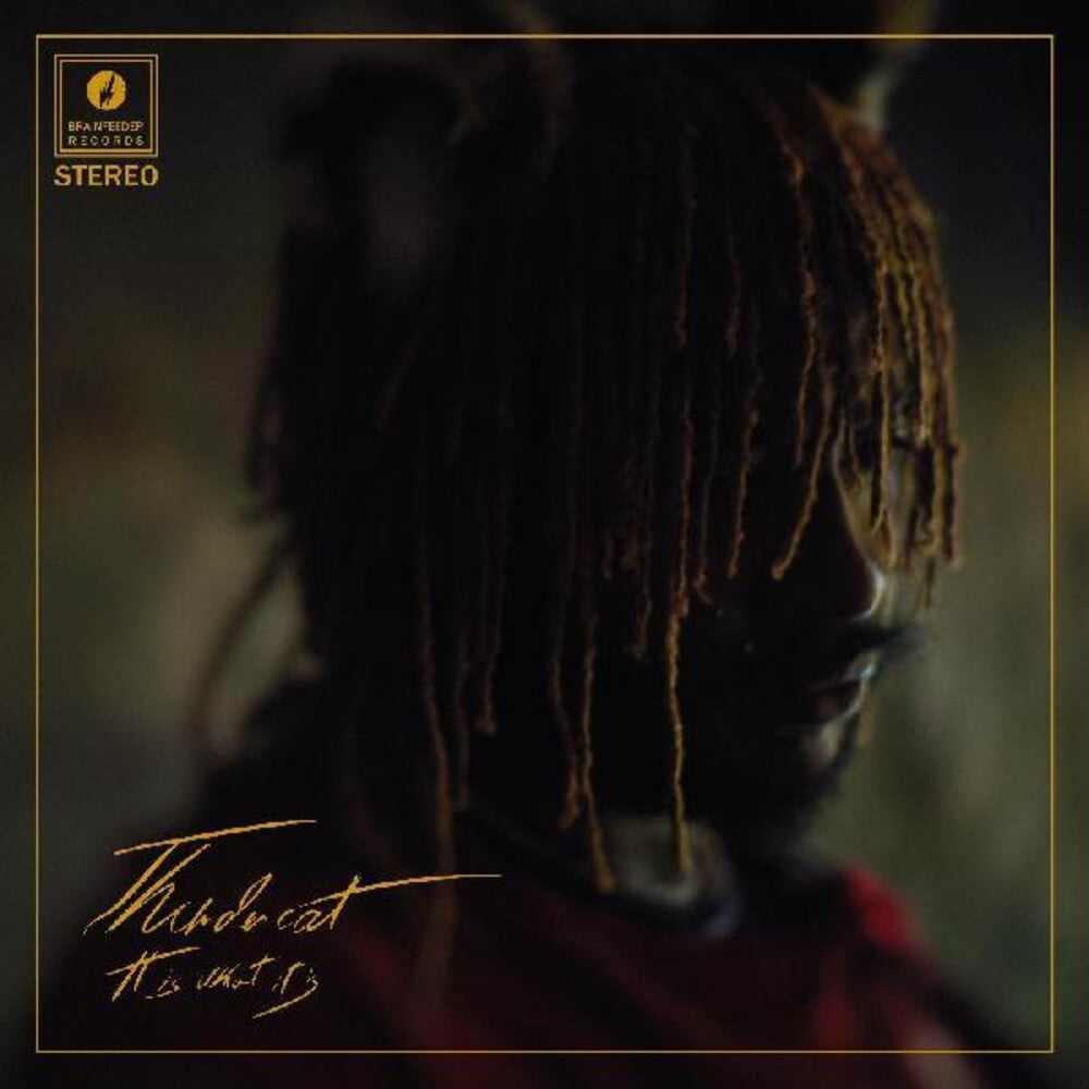 the album cover for Thundercat - It Is What It Is [Deluxe Clear LP]