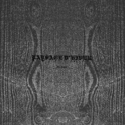 the album cover for Paysage Dhiver - Im Traum