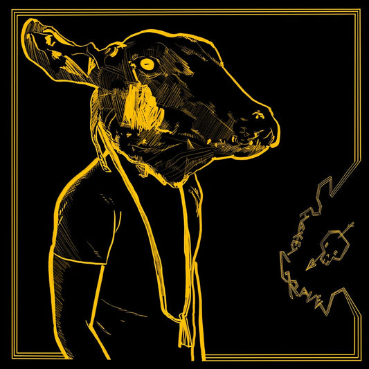 the album cover for Shakey Graves - Roll The Bones X