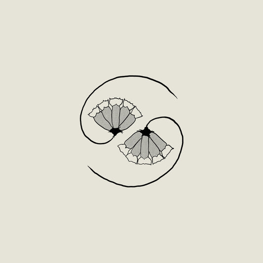 the album cover for Godspeed You! Black Emperor - G_D's Pee At State's End! [180 gram LP + 10in]