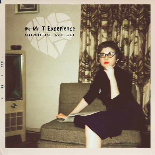 the album cover for Mr. T Experience - Shards Vol. 3