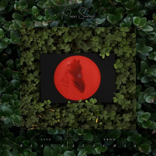 the album cover for Moses Sumney - Live From Blackalachia [2LP]