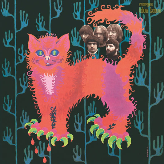 the album cover for Pussy - Pussy Plays [Colored Vinyl] [180 Gram] (Pnk)
