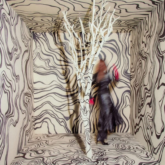 the album cover for Madison Cunningham - Revealer [LP]