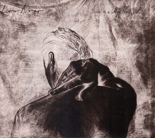 the album cover for Low Roar - Once In A Long Long While