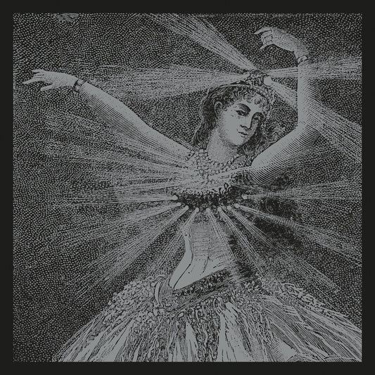 the album cover for Neutral Milk Hotel - The Collected Works Of Neutral Milk Hotel [LP Box Set]