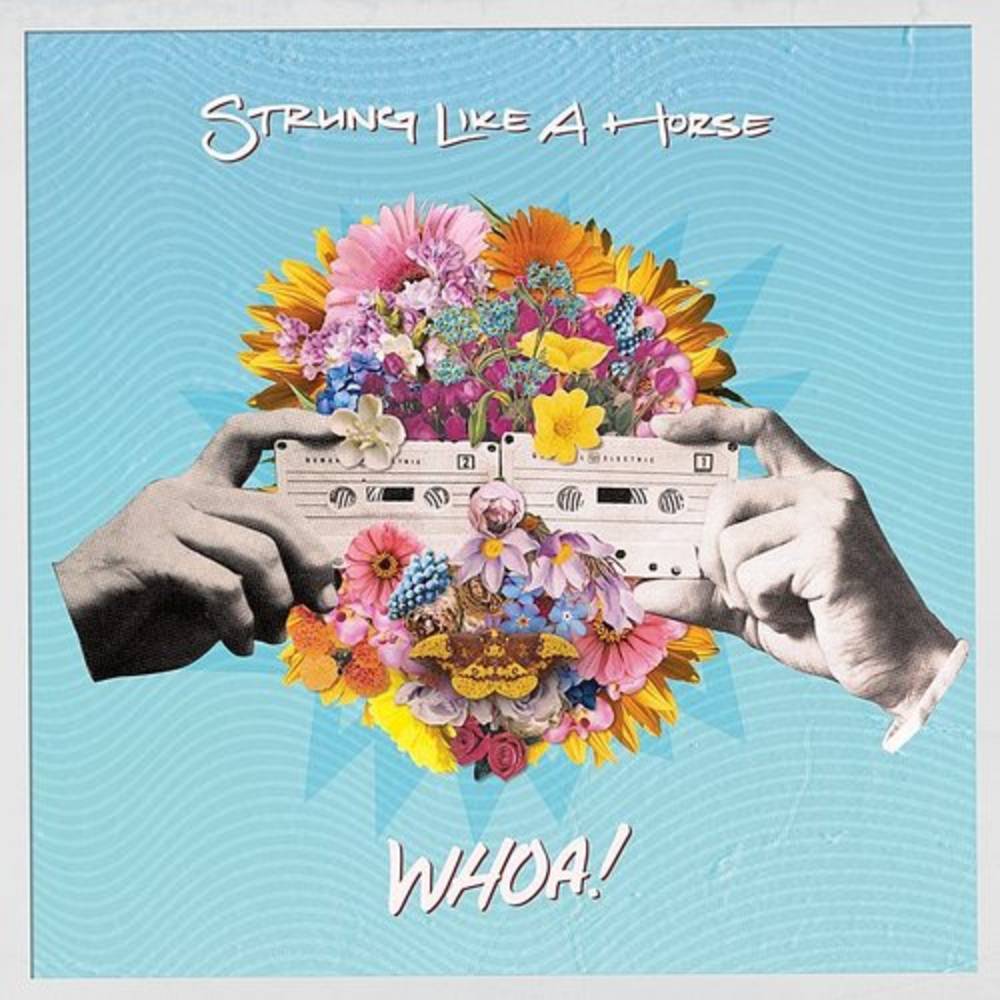 the album cover for Strung Like a Horse - WHOA! [Indie Exclusive Limited Edition Pink Splatter LP]